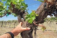 �������Ѿ��ǺþƆ���