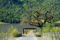 ���Ѿ��f�OӋ�����f���Ծ��f