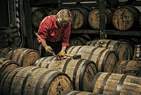 ��ľͰ�����P�Ͱ���������޵ą^�e