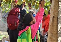 �ž������Ʒһ���r���������Ѿ�