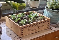 �üt��ľ����b����ļ҈@